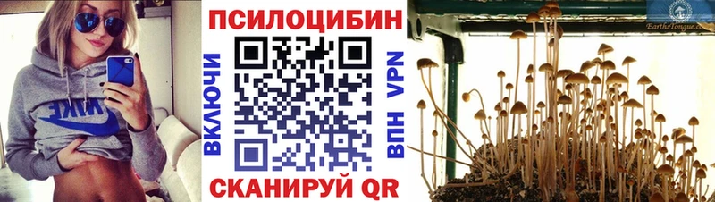 наркотики  Азов  Псилоцибиновые грибы MAGIC MUSHROOMS 