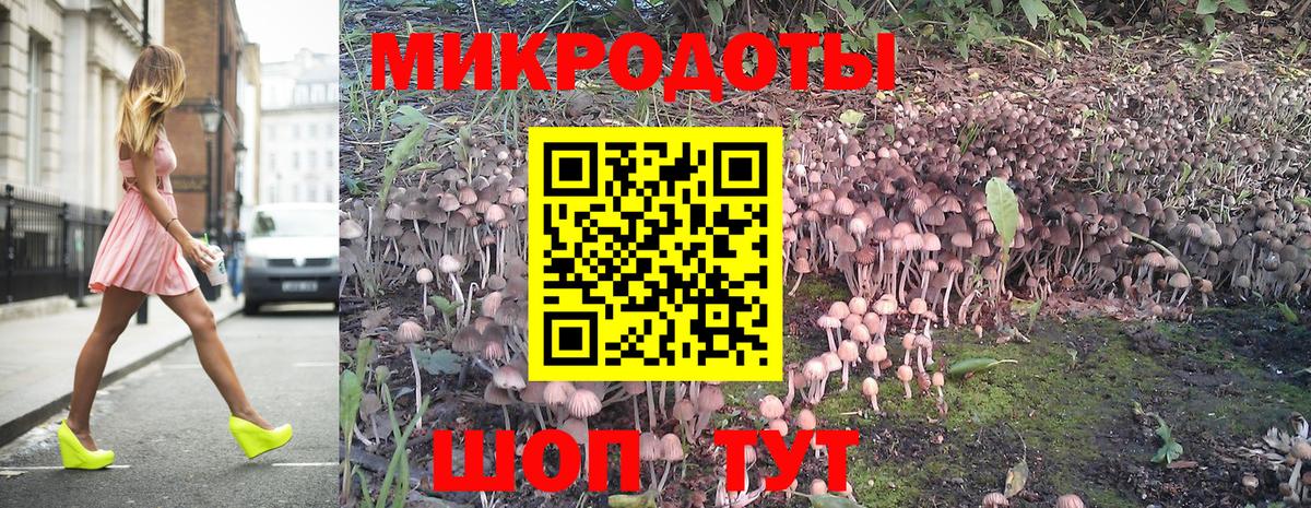 Галлюциногенные грибы Psilocybe Азов